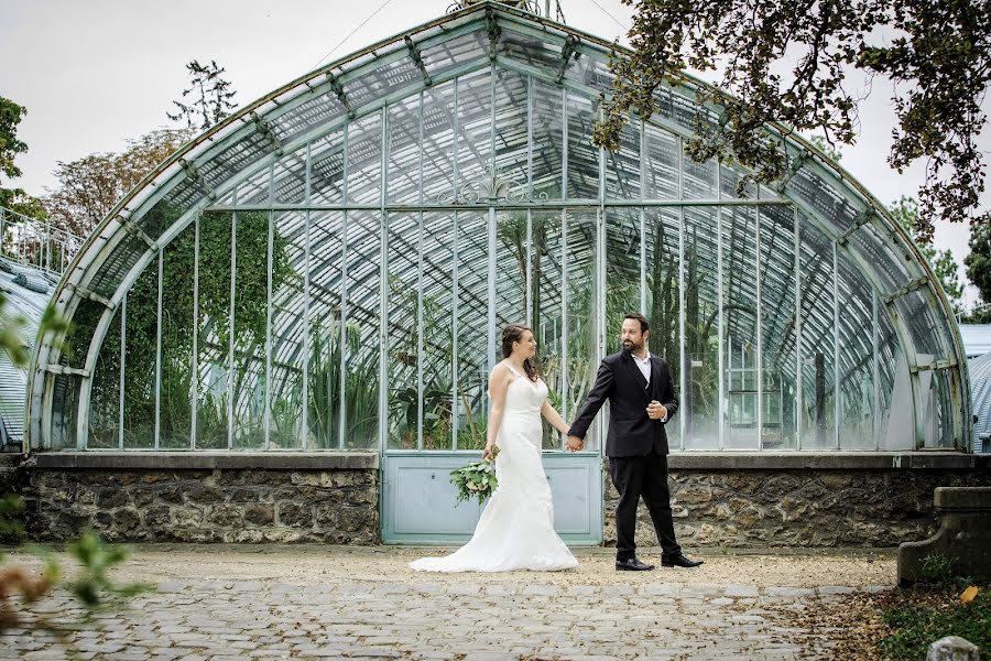 Fotógrafo de bodas Alex Sander (alexsanders). Foto del 13 de noviembre 2018