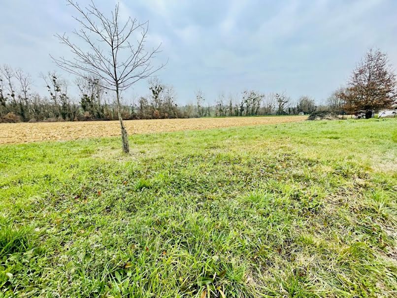 Vente terrain  800 m² à Saint-Nauphary (82370), 75 000 €