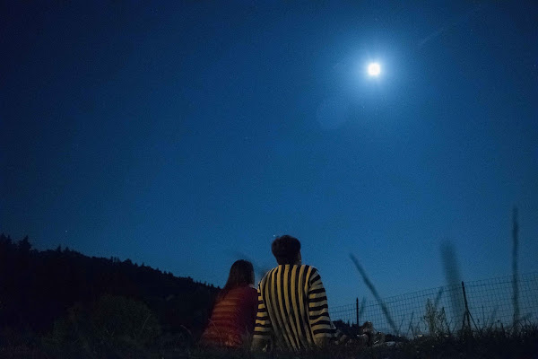 Under the moonlight di marconardini