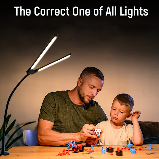 Title 5, Eye Protection Double-Headed Clip Lamp Provides...