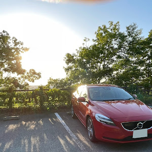 V40 T3