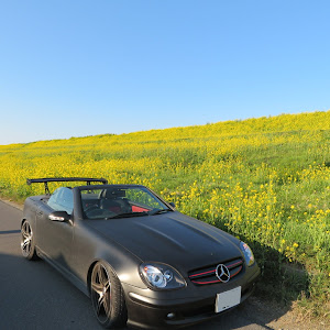 SLK