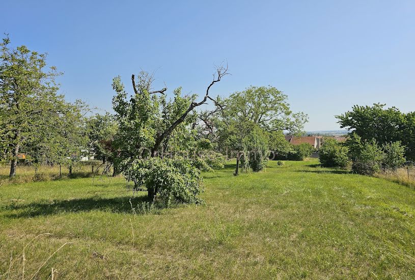  Vente Terrain agricole - à Gannat (03800) 