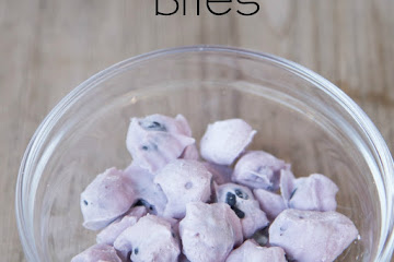 Yogurt Blueberry Bites