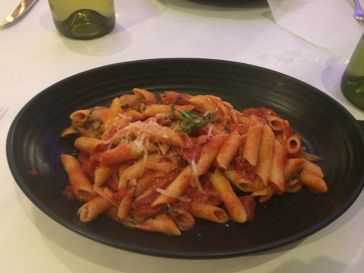 Gluten free penne with Tomato and basil sauce.