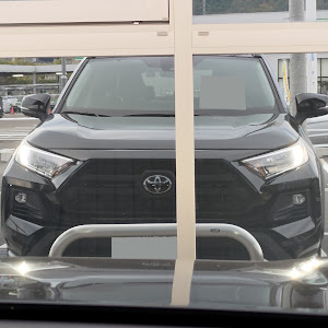 RAV4 MXAA54