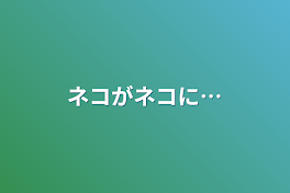 ネコがネコに…