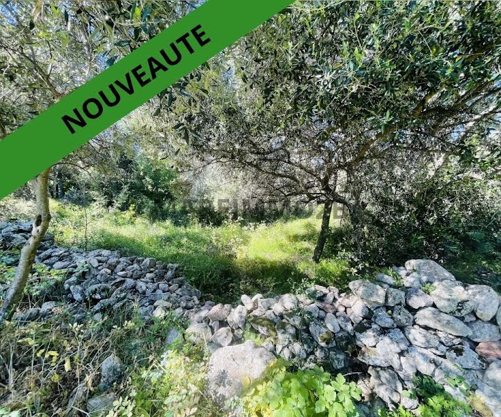 Vente terrain à batir  4675 m² à Montegrosso (20214), 391 200 €