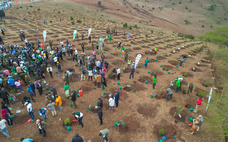 Kenyans take part in a tree planting exercise in Kajiado on Wednesday