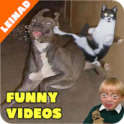 Funny Videos 2018 1.4 Icon