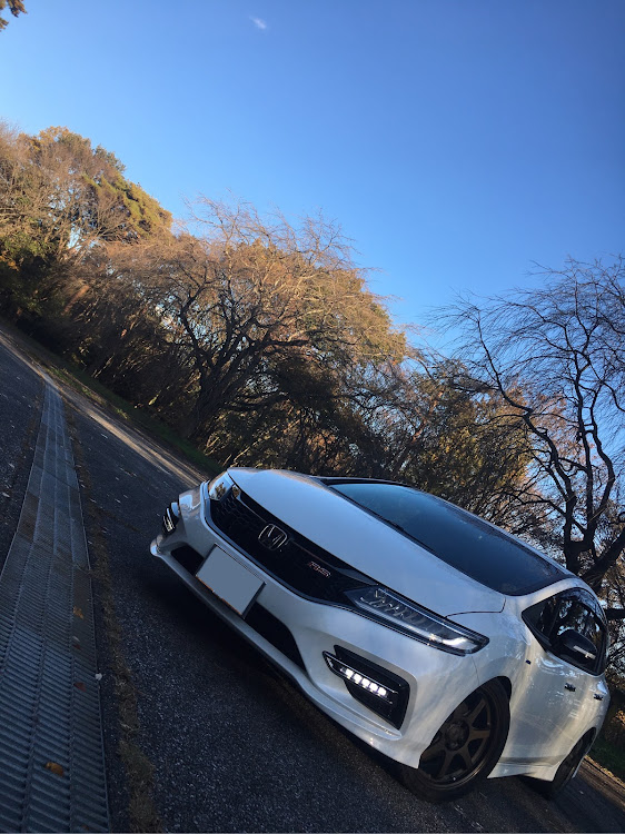 ジェイドの車高調・固着・悩み相談に関するカスタム事例の投稿画像1枚目