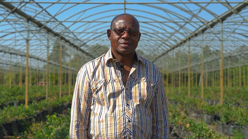 Edwin Masimba Moyo, Chairman and sole shareholder, Nhimbe Fresh.