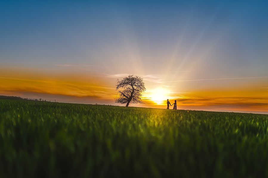 Fotograful de nuntă Linda Strauta Brauere (bilzuligzda). Fotografia din 17 mai 2020