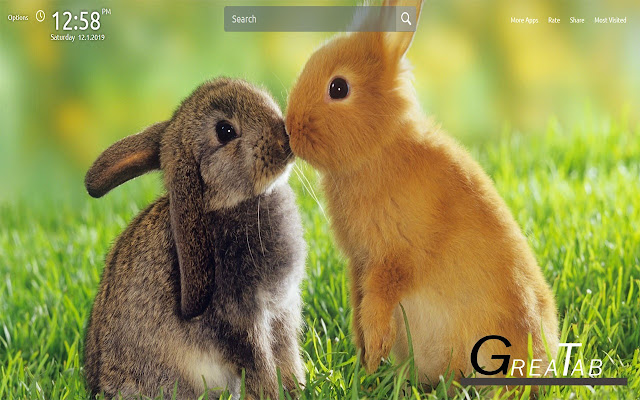 Cute Bunny Rabbit Wallpapers Theme |GreaTab