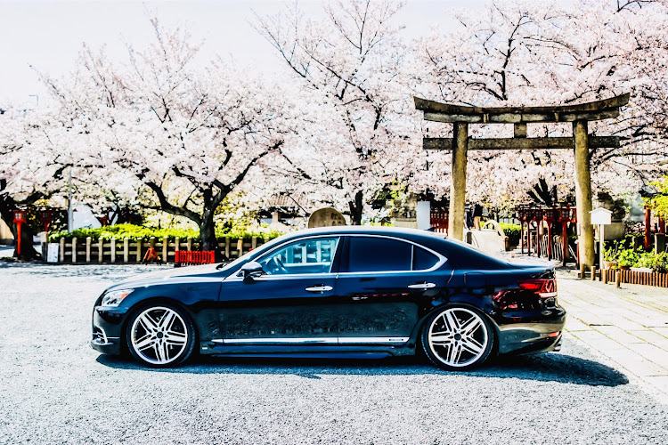 LSのdiscover_ct・DISCOVER CARTUNE・桜・京都に関するカスタム事例の投稿画像1枚目