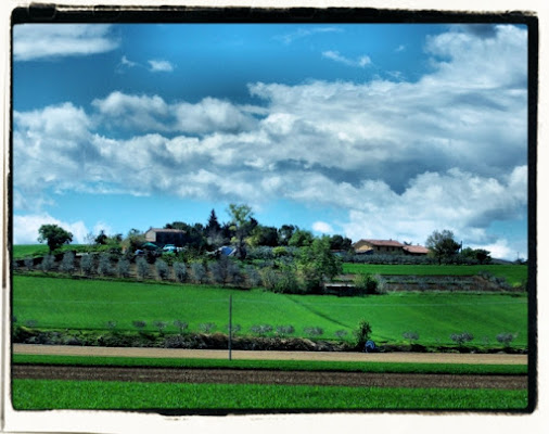 La via del vino di sergio bellavista