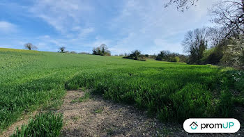 terrain à Venizy (89)