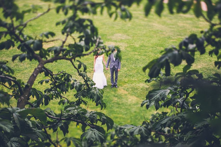 Wedding photographer Ivan Troyanovskiy (vani). Photo of 1 August 2013