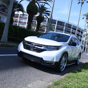 CR-V RW1