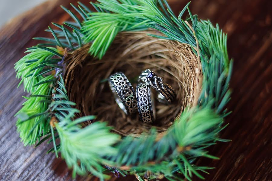 Photographe de mariage Darina Limarenko (andriyanova). Photo du 15 septembre 2016