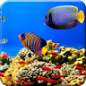 Aquarium Undersea wallpaper icon