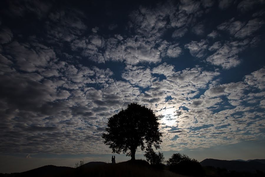 Fotógrafo de bodas Krzysztof Jaworz (kjaworz). Foto del 12 de julio 2019