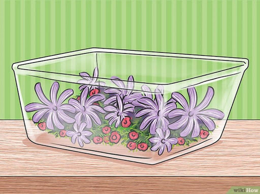 How to Make Your Own Perfume