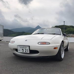 ロードスター NA8C