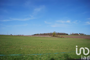 terrain à Razac-de-Saussignac (24)