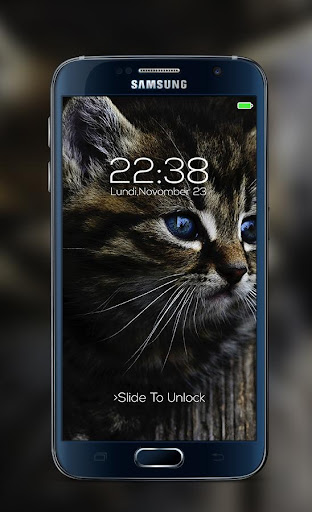 Cat password Lock Screen