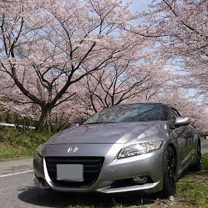 CR-Z