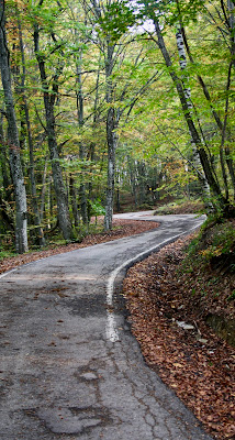 AUTUMN WAVES di mauropr