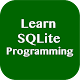 Download Learn SQLite Programming For PC Windows and Mac 1.0