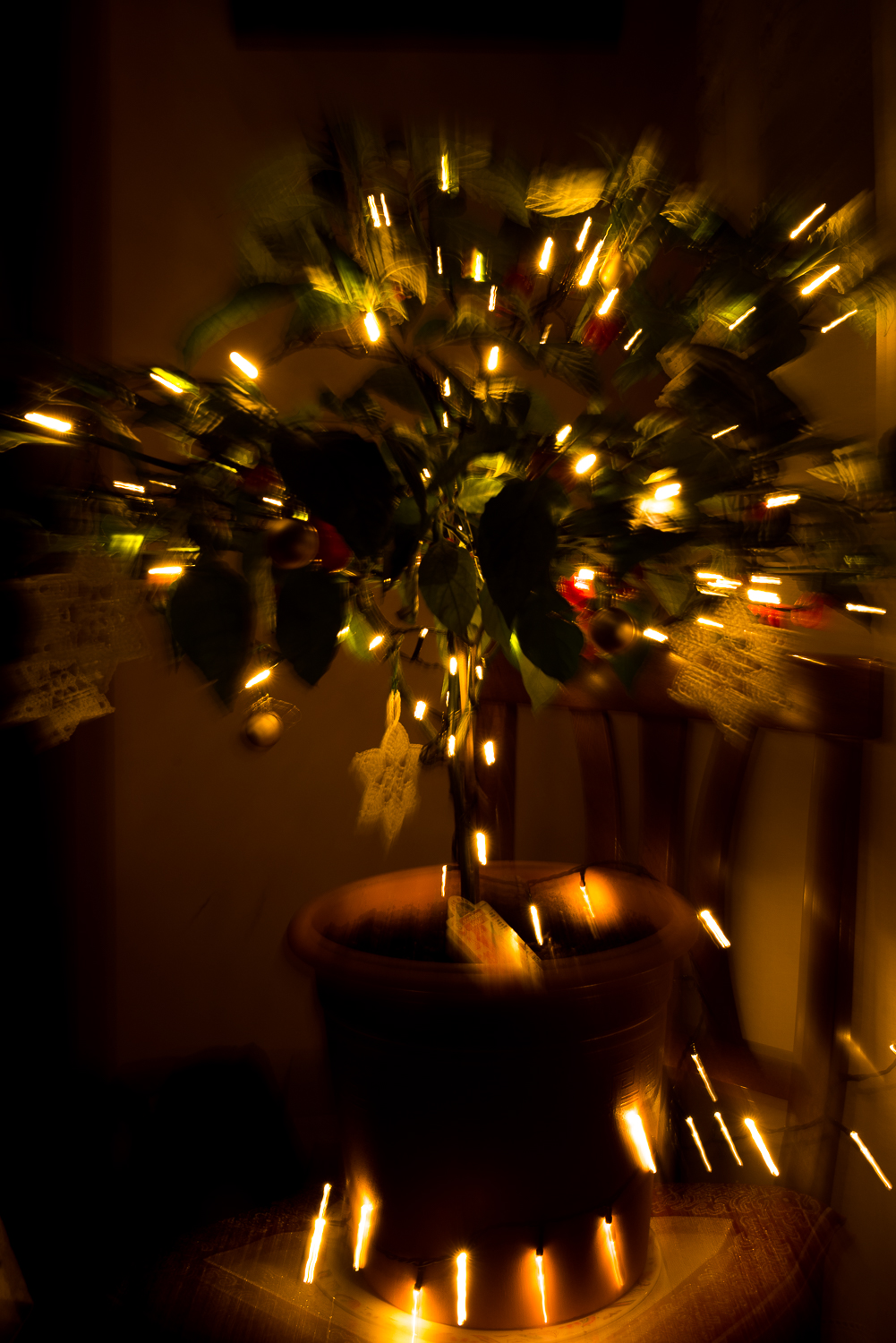 Christmas tree peppers di MorellatoFotoLab