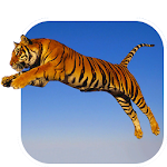 Tiger Live Wallpaper Apk