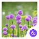 Flower-APUS Launcher theme Download on Windows