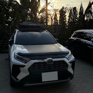 RAV4 AXAH54