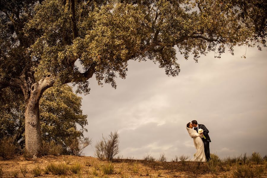 Fotografo di matrimoni Deme Gómez (demegomez). Foto del 25 maggio 2016