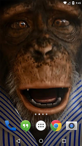 Angry Monkey 3D Live Wallpaper