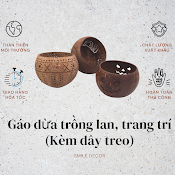 Bát Gáo Dừa Trồng Lan, Trồng Cây Sân Vườn Smile Decor Kèm Dây Treo) - Coconut Shell Handicraft For Boho Style Decor