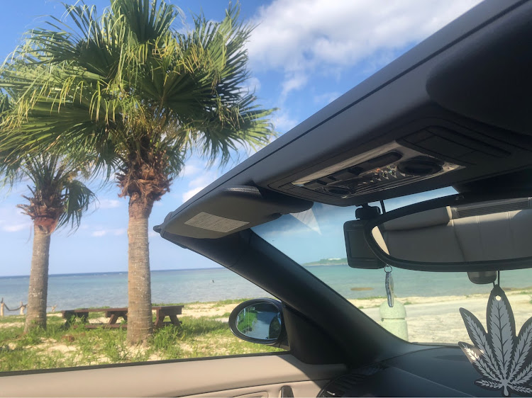 1シリーズ カブリオレの椰子の木コラボ🌴PART3最終章・オープンカーと椰子の木の風景・恩納村、名護・今帰仁村、大宜味村・ウクライナ🇺🇦に平和をに関するカスタム事例の投稿画像2枚目