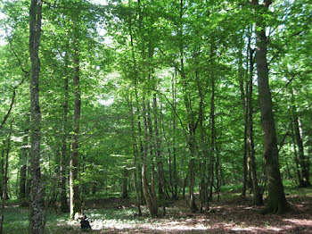 terrain à Esvres (37)