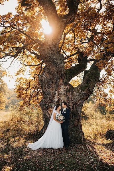 Wedding photographer Vlado Veverka (veverkavlado). Photo of 30 November 2020