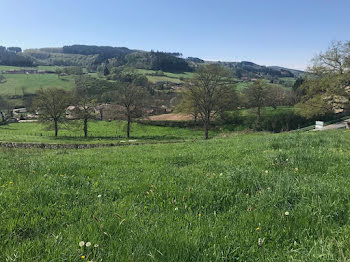 terrain à Cluny (71)