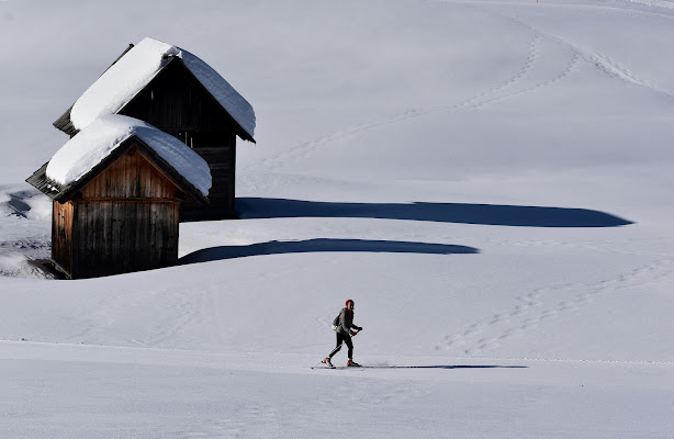 linee d'ombra sulla neve di renzo brazzolotto