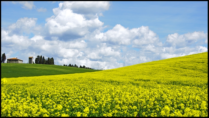 Paesaggio Toscano di Picchiolino