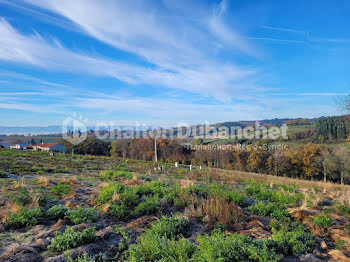 terrain à Montchal (42)