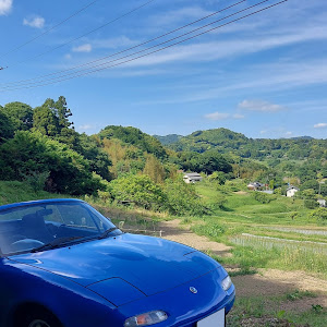 ロードスター NA6CE