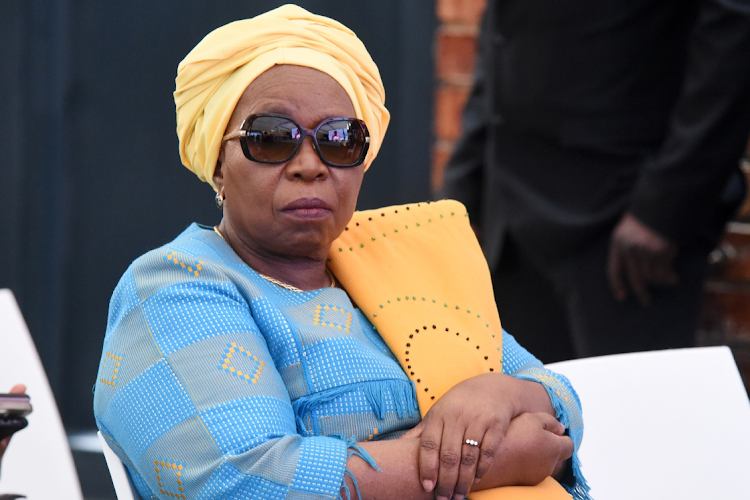 Nkosazana Dlamini-Zuma on Tuesday voted in favour of the Phala Phala report. Picture: Freddy Mavunda/Business Day/FILE PHOTO
