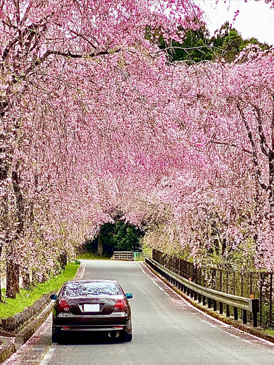 の投稿画像5枚目